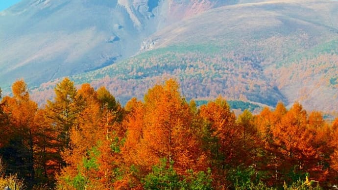 晩秋の浅間山・・・紅葉・・・黄葉