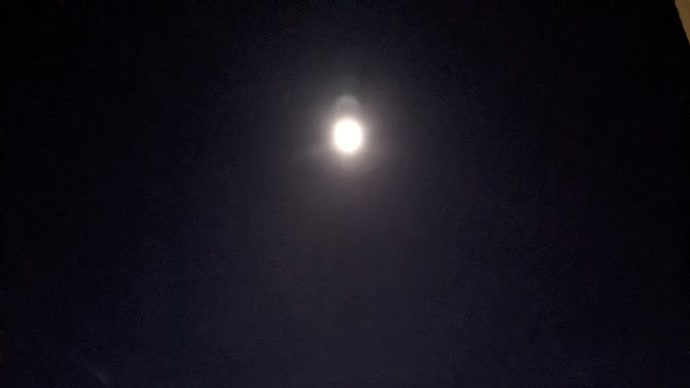 残念でした