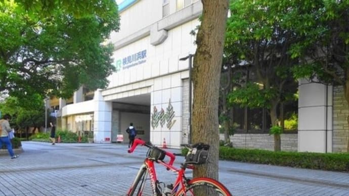 5年前の今日は川を検見川浜から川を繋いで印旛沼~手賀沼