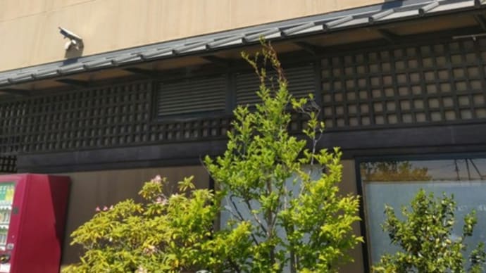 10回目の「Salaam Curry」さん訪問でした。(群馬県伊勢崎市)
