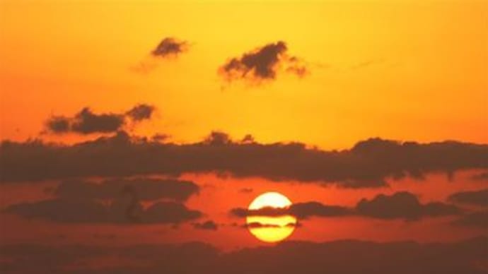 見つけよう・・・