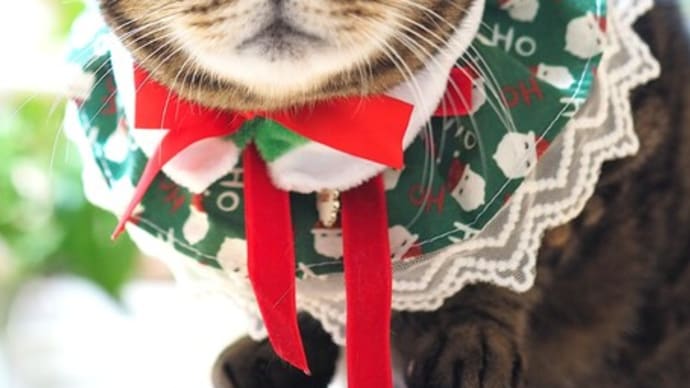 Mary Christmas☆