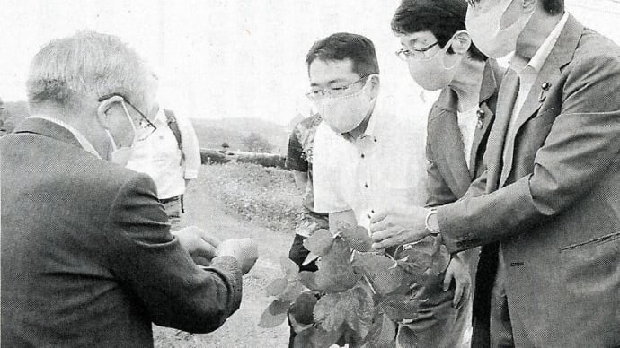 種苗法「改正」の問題点 田村貴昭議員に聞く① 農家の自家増殖を原則禁止