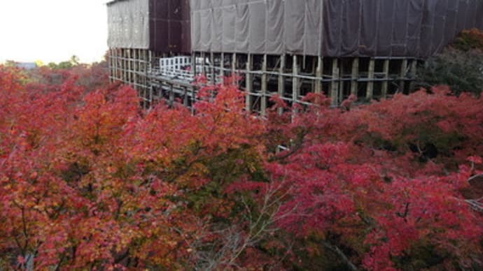 清水寺の紅葉と縁切り夜叉伝説（中編）　＠　京都妖怪探訪（５２５）