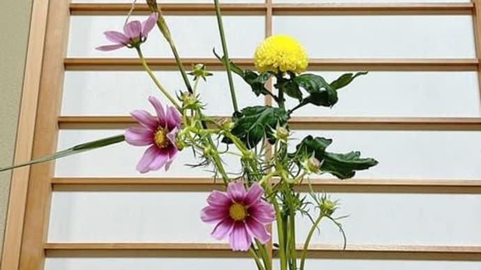 9月交流会のお知らせです