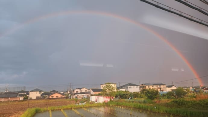 大きな虹🌈