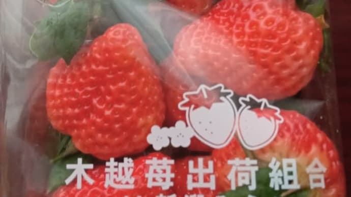 激安だった「越後姫」で 考える