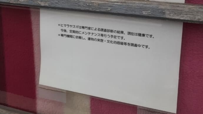 谷中の一本杉と「みかどパン店」の今