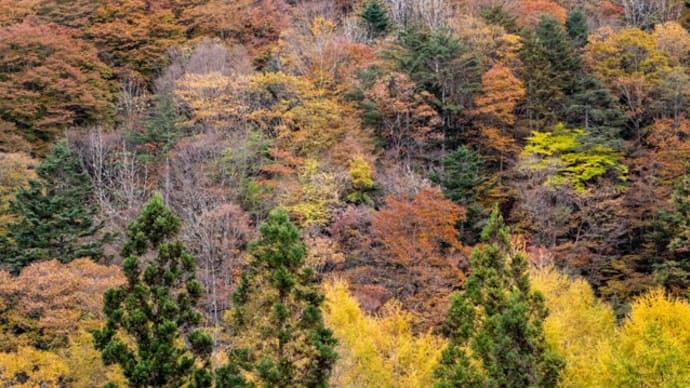 ぐるりと一周紅葉旅・・・
