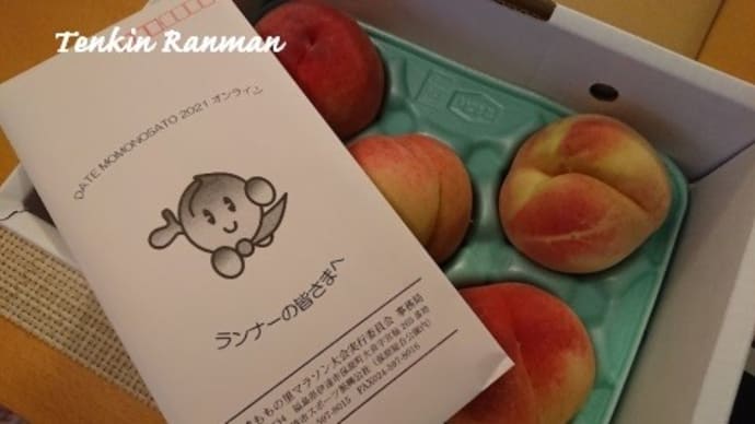 DATE MOMONOSATO 2021オンラインマラソン