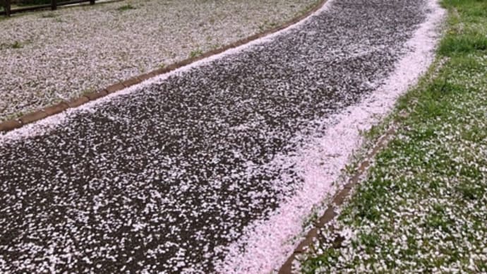花吹雪