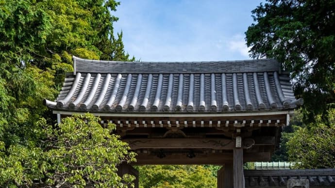「鎌倉」の由縁【鎌足稲荷神社】秋桜には早かった。ならば未踏のあの場所へ！