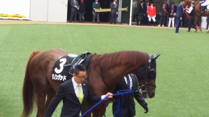 🐴きょうのおうまさん(21/11/24) 笠松グランプリ