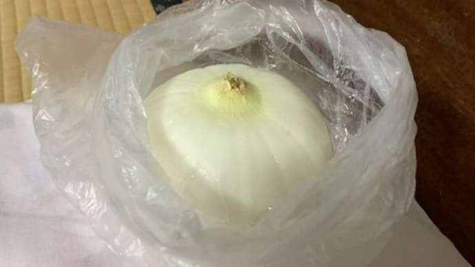 今年一番のマユツバ。