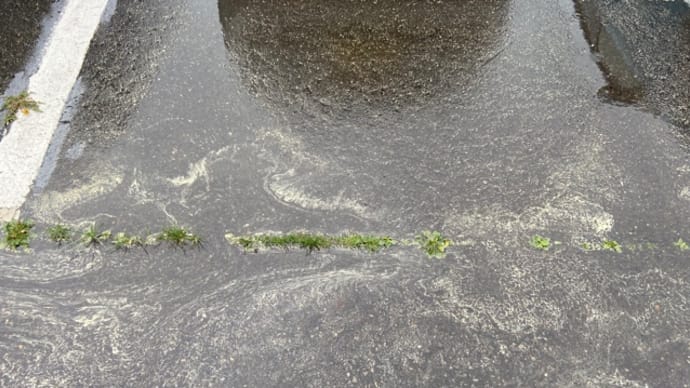北海道雪解け