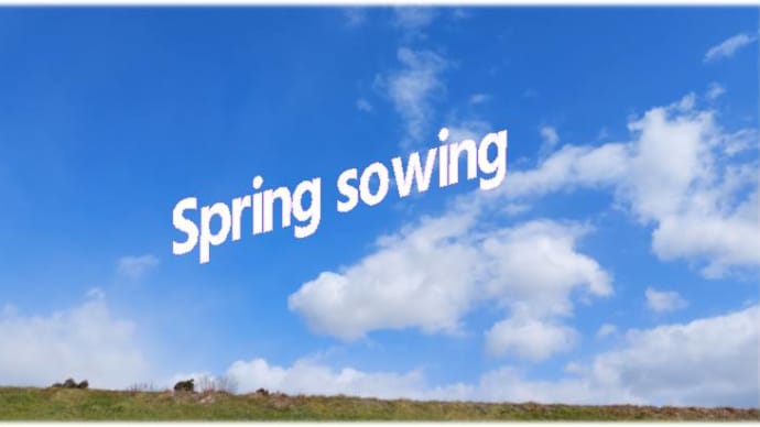 春の種まき楽しもうよ~Spring sowing&王将やさいたっぷり~
