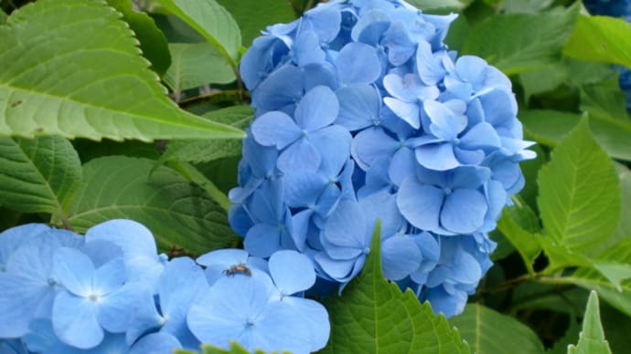 ・。*：・心変わらず色変わり・：*。・