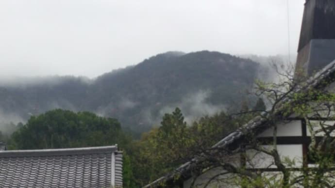 春歌下 白雲山桜