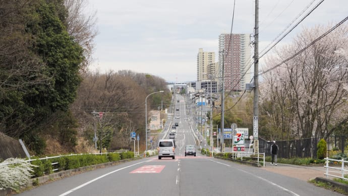 お写んぽ 4/2