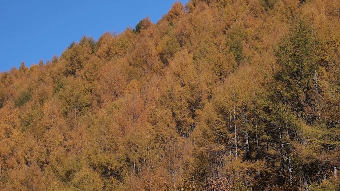 ★秋の巣栗渓谷あれやこれや🍂 2020