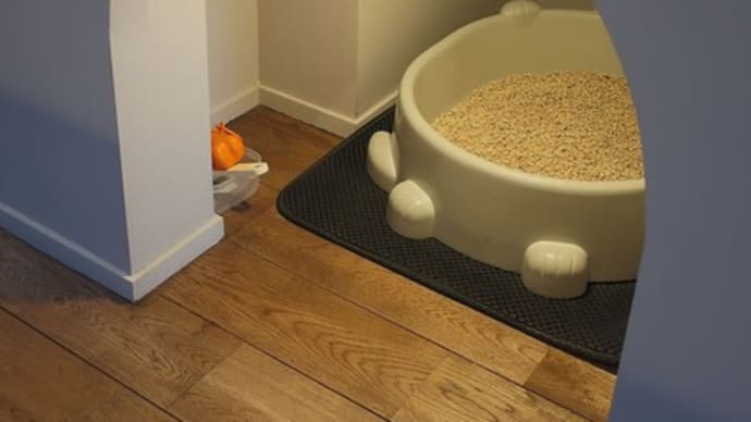 アーチの猫トイレ