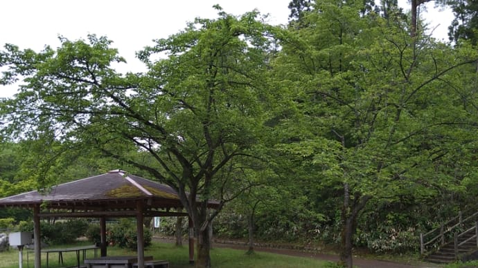 真木山公園
