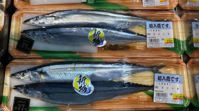 秋刀魚