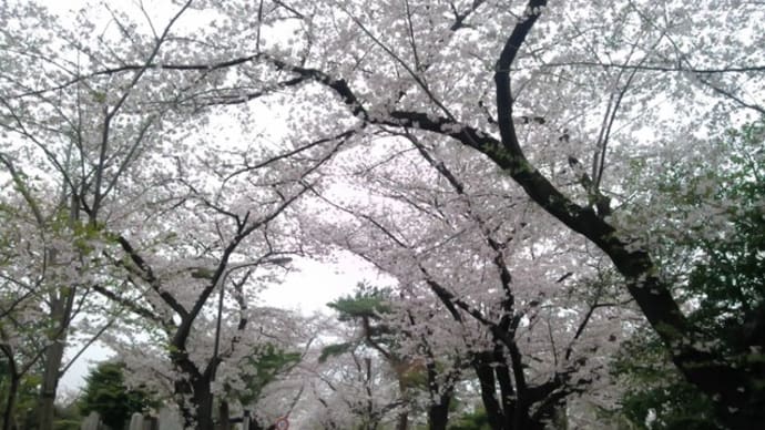今日は編集・・・・でしたが・・・画像は・・・・