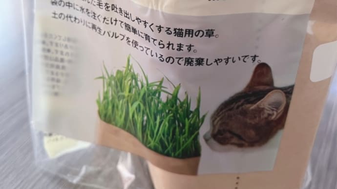 ねこ草栽培セット