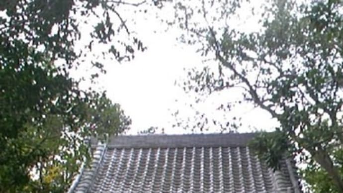 聖域写真シリーズ・八大龍神社(愛知県・蒲郡市)