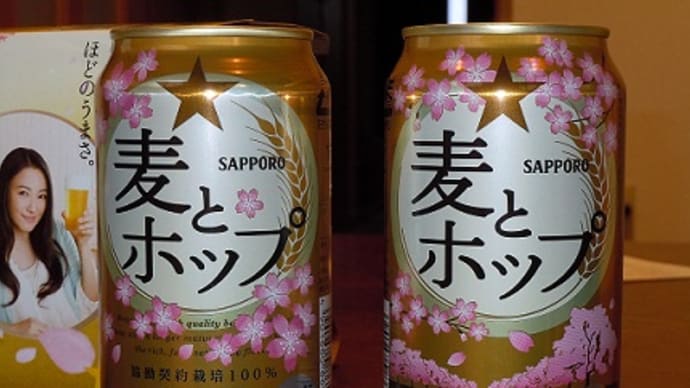 つぶやき#1483　麦とホップ　桜缶