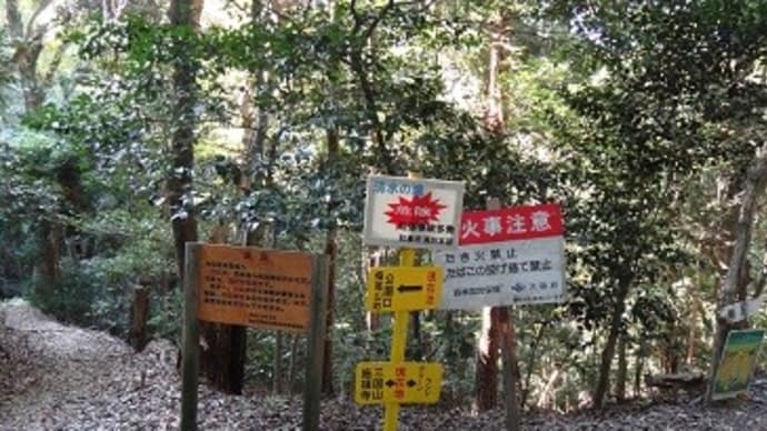 久しぶりの槇尾山登山2