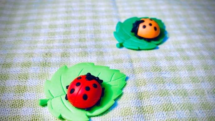 オサンポ walk - 虫bug: てんとう虫がいるので there is a ladybug so,