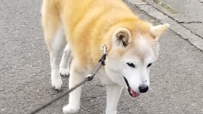 今日は月曜日・・