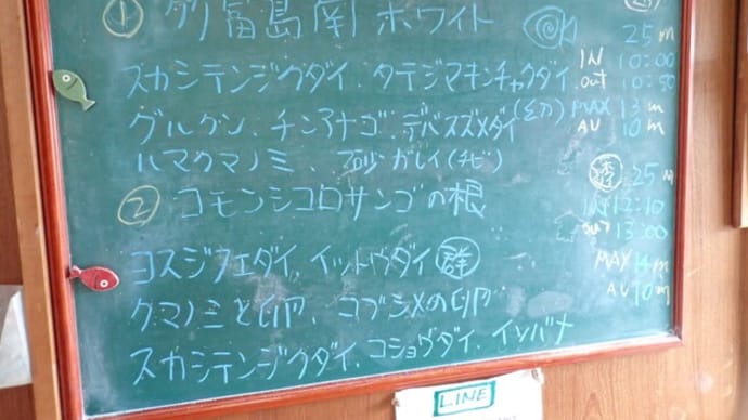 20230415ダイビングログ