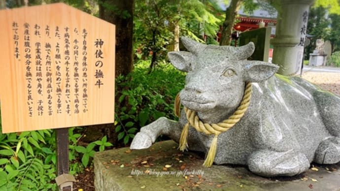 【河口湖】富士山最古の神社、武田信玄公祈願所 富士御室浅間神社へ