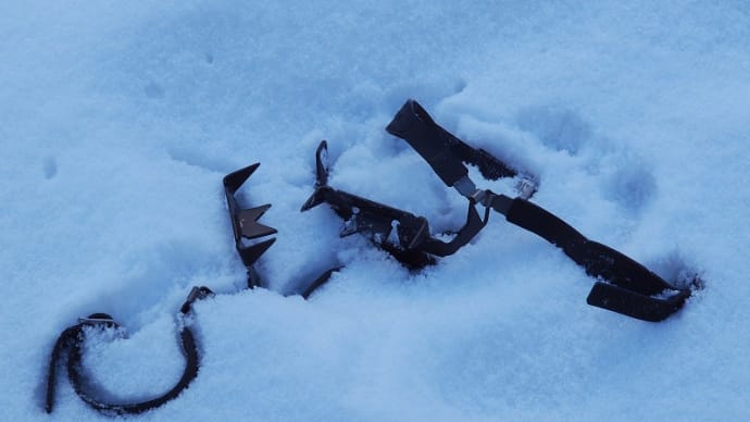 雪の中の滝