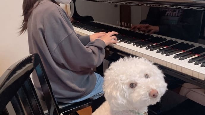 生徒さんとノエルとお散歩
