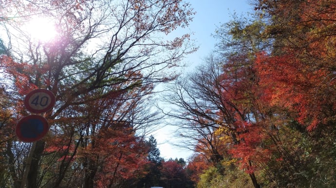 晩秋の箱根・山中湖湯ったりツーリング