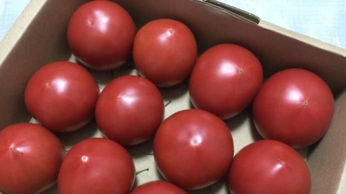 野菜三昧・・・