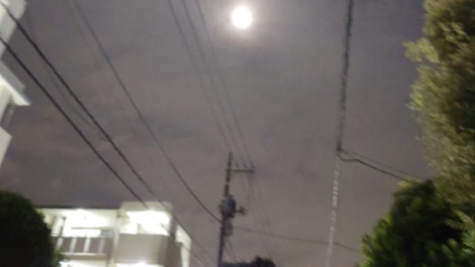 花は咲く