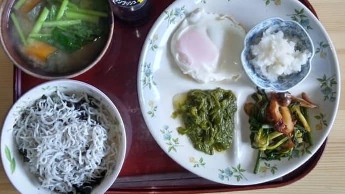2024/06/04…朝食