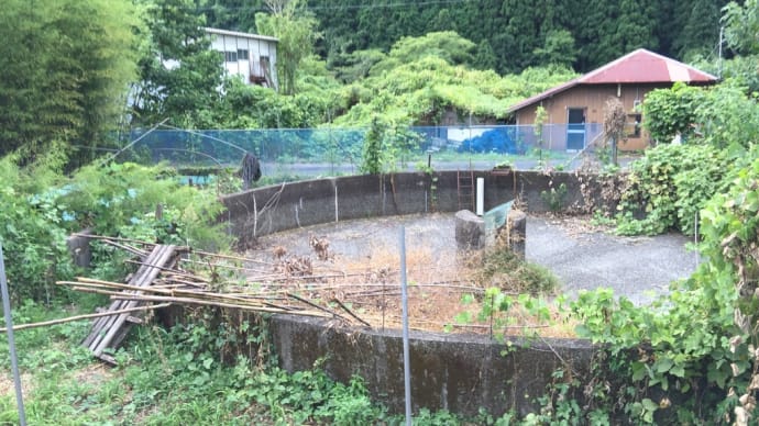 闘う事務局長‼️漁協の話。聞きたい人居る⁉️