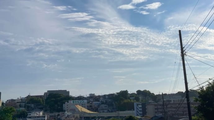 無事に育ちました。