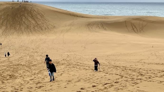 雨にも負けず　鳥取砂丘編🐪