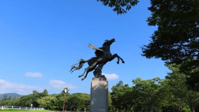 2024年8月南相馬マンスリーディスクゴルフ大会結果