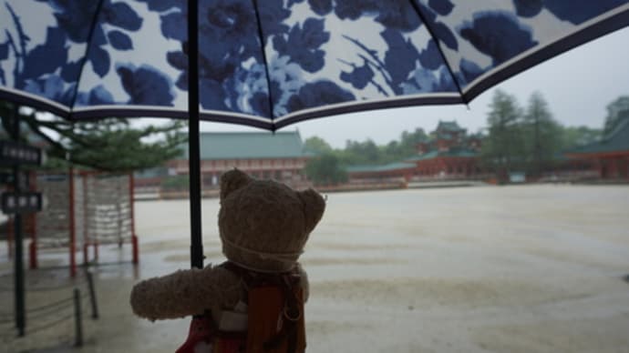 花菖蒲が見ごろを迎えている「平安神宮」の神苑。6月4日の無料公開日は、あいにくの雨