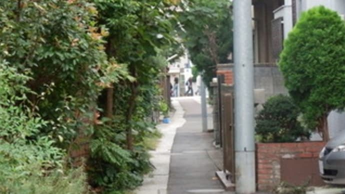 路地・路地裏 (3)