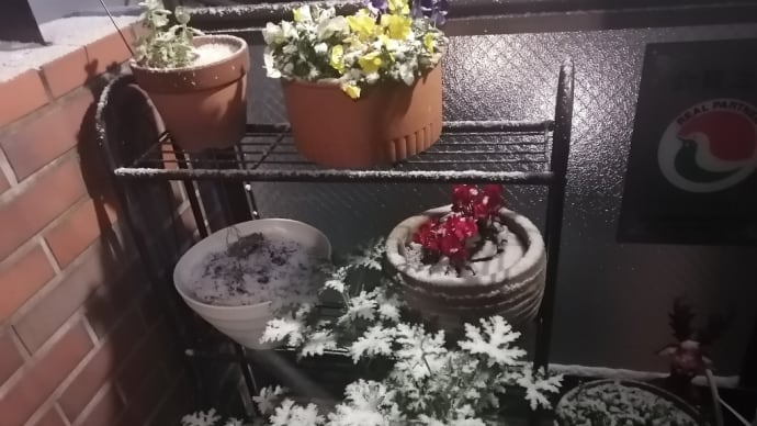 セコム親の見守り