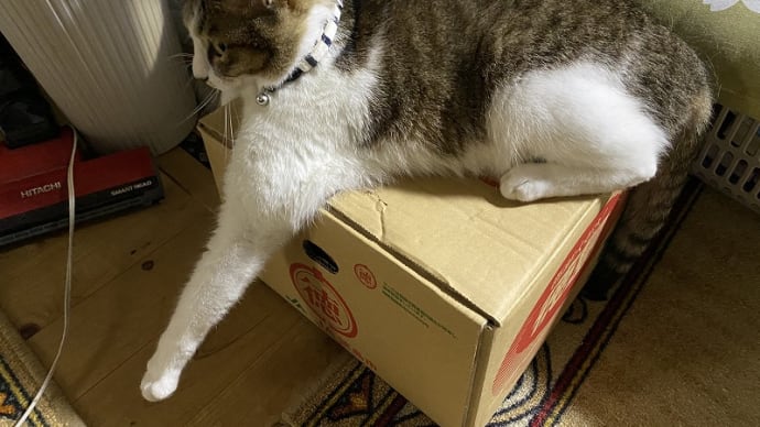 そんなの関係ねえ!